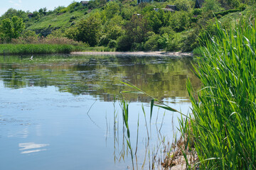 Romantic and relaxing morning on Southern Bug river, reflection of pier on tranquil water and green reed in Nikolaev, Ukraine