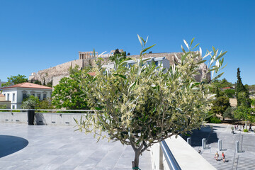 The Acropolis Museum in Athens, Statues and sculptures of the Parthenon.