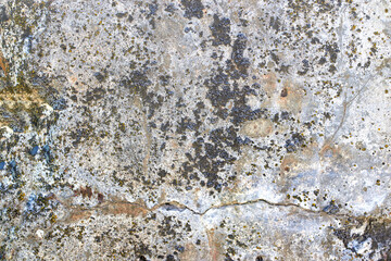 Old rusty moss-covered stone background.