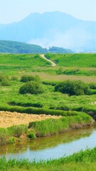나무와 풀이 무성하게 자라고 있는 강변