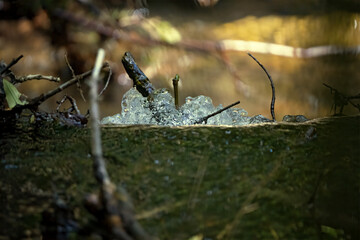 today's walk in a protected area