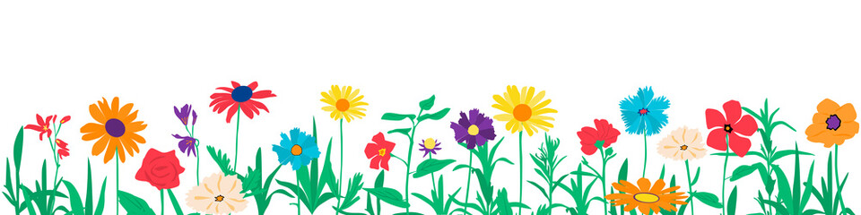 Vector garden and field spring flowers with leaves, flowering plants, horizontal banner, floral flat design, hand drawing, multicolored blooming flowers, isolated on white background