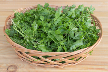 Parsley in a basket on a wooden background - the benefits of parsley concept