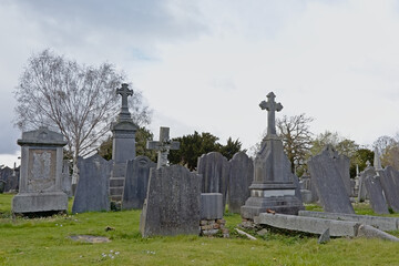 Spooky old decayed grave monuments with crosses in Glasnevin, green cemetery with bare trees in ,...