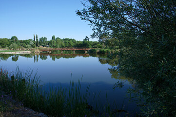 jezioro rośliny woda niebo niebieskie trzciny © Piotr