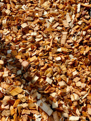 autumn leaves background
