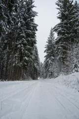 Obraz premium Thüringer Wald