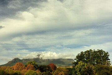 Trees with late autumn colours with Stellenbosch Mountain and dramatic clouds forming the backdrop