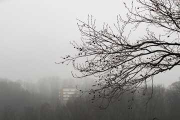 Nebel Grusel 