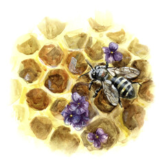 Bee on honeycombs with flowers, extinction of bees
