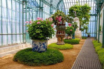 Belgium, Brussels, Royal Greenhouses of Laeken, inside