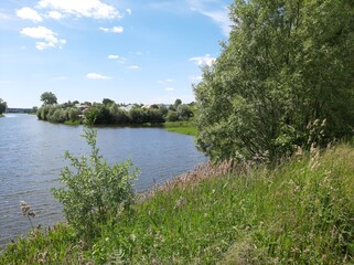 Summer fresh landscape of bright green trees near the river