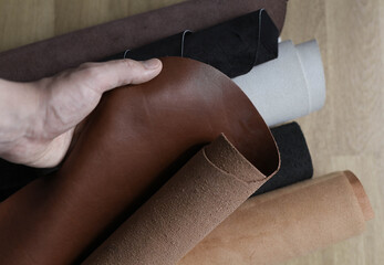 Professional crafter choosing brown cow leather for making leather items