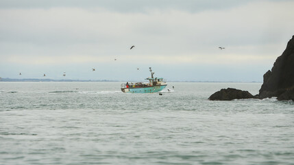 Fishing boat surrounded by black-headed gulls in the sea.