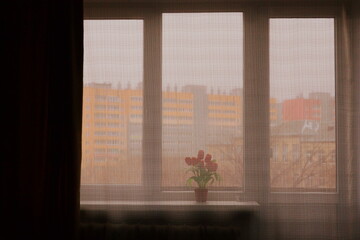 Loneliness transmitted through flowers