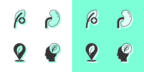Set Human head with leaf inside, Leaf or leaves, Location and kidney icon. Vector