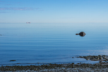 The peaceful St Lawrence river near Ste Luce (Quebec, Canada) on a quiet and beautiful summer morning