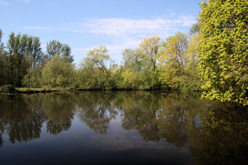 Fototapeta na wymiar A view of Martin Mere Nature Reserve in the spring