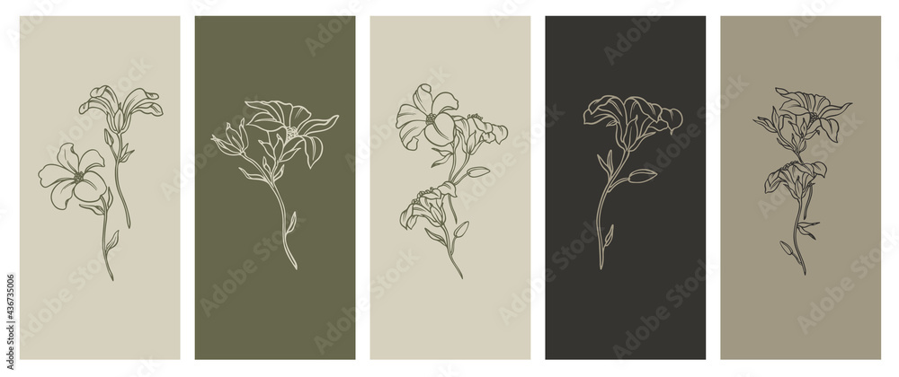 Poster set of postcards with linear patterns. floristic pattern. minimalism