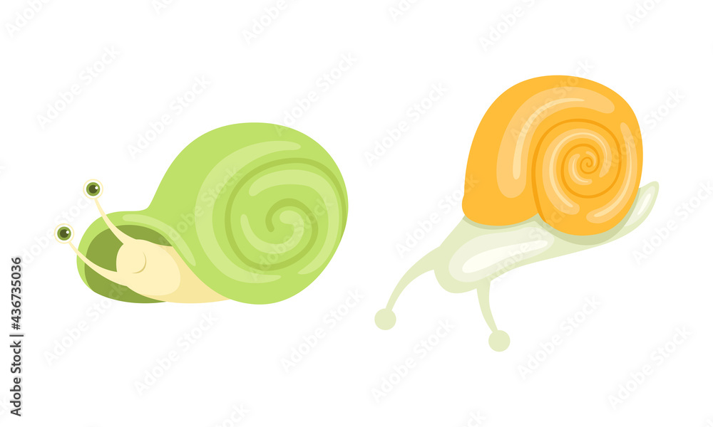 Poster cute snails set, adorable funny baby snail with green and yellow shells cartoon vector illustration