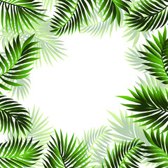 Tropical frame of palm leaves