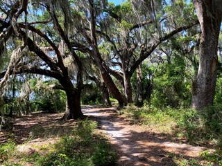 Florida Trail