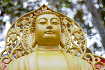 close up of Buddha statue