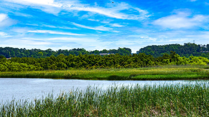 Interstate in Mobile and Alabama swamp landscape in summer