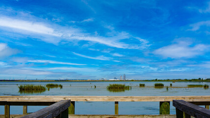 Interstate in Mobile and Alabama swamp landscape in summer