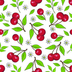 cherry, flowers, leaves, background, red