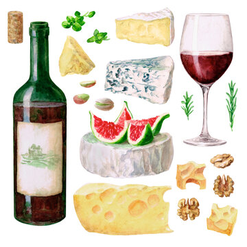 Set. Wine, cheese, nuts. The image is hand-drawn and isolated on a white background. Watercolour painting.