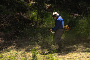 Desbrozar el campo, hombre trabajando en el campo