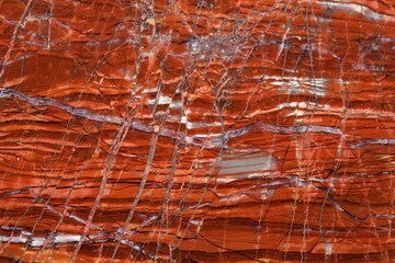 The polished surface of a radiolarite rock.