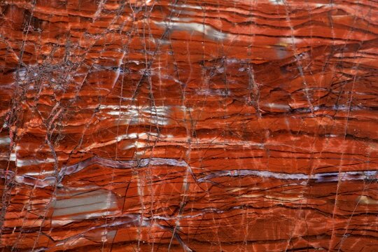 The polished surface of a radiolarite rock.