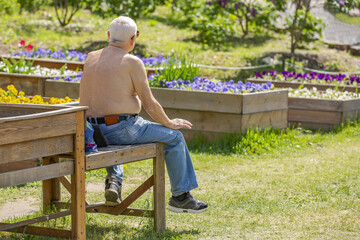 An elderly gentleman with a naked torso in jeans sitting sunbathes in a blooming summer garden