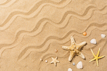Starfish and other seashells on the sand with copy space, summer background