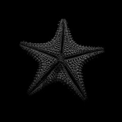 starfish on black background