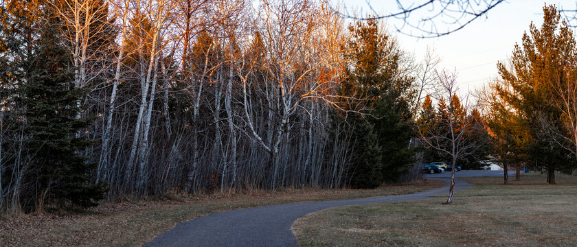 Sunset Treetops Park Trail
