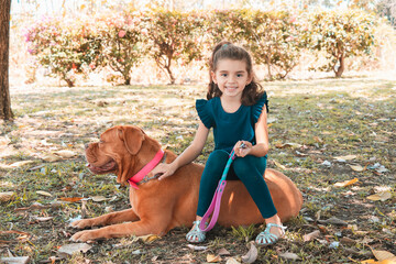 Little girl riding on dogue de bordeaux Dogue de Bordeaux in the park