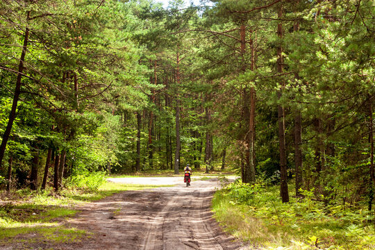 Summer landscape - a lone cyclist travels the countryside road through the forest in eastern Poland © rustamank