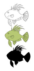 a set of isolated vector elements of the John Dory from a black outline and silhouette and a swamp-colored image, side view with molten fins and tail. hand drawn sketch in the style of sea fish John D