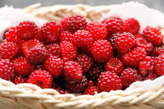 Fresh organic aspberries - Frische Bio- Hmbeeren