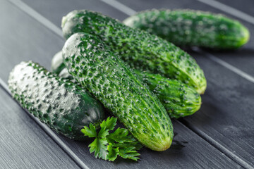 Cucumber on  dark wood texture background.Cucumbers harvest in summer. Cucumbers for salads or canning. Summer vegetables. Organic agriculture in village.