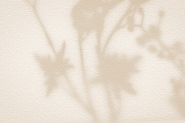 Flower shadows on light brown and cream color wall.