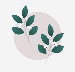Flower and green leaves. Modern and art illustration vector. Botanical style. Figures are isolated on a minimalistic background.