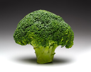 Broccoli is a super important vegetable for human nutrition that has great nutritional properties for the well-being of the human being