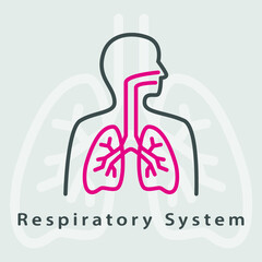 Respiratory System icon. Trendy flat vector Respiratory System icon on transparent background. High quality filled Respiratory System symbol use for web and mobile. Lungs vector icon. 