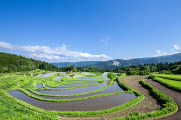 別宮の棚田