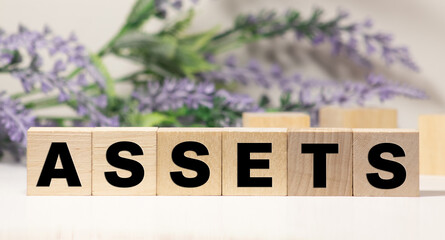 assets - word from wooden blocks with letters, useful or valuable thing assets concept.