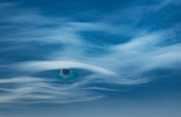 eye in the sky